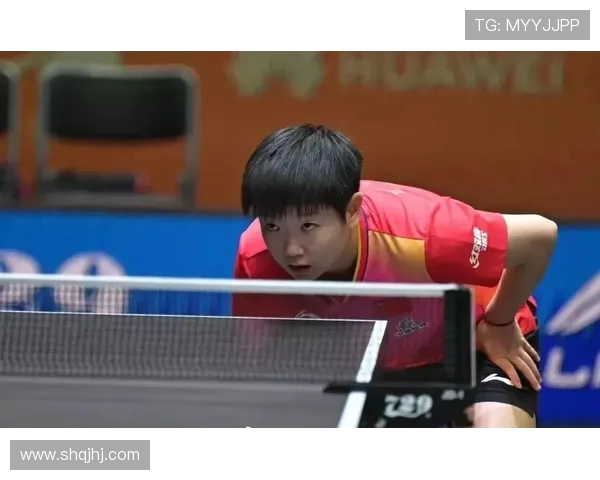 张强的乒乓球人生深度对话：从少年梦想到世界舞台的奋斗历程