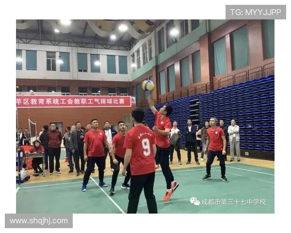 成都排球队灵活性分析与表现评估探讨