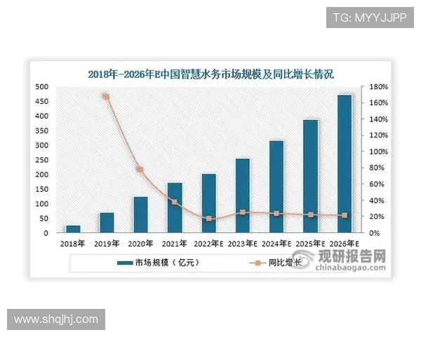 成都羽毛球队在联合会杯中的实力展现与未来发展潜力分析