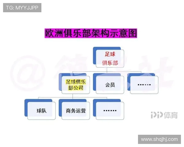 成都足球队实力对比深度解析与未来发展趋势探讨
