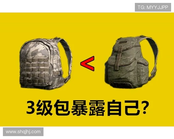 和平精英战术分析：TES区域防守的成功与不足之处探讨