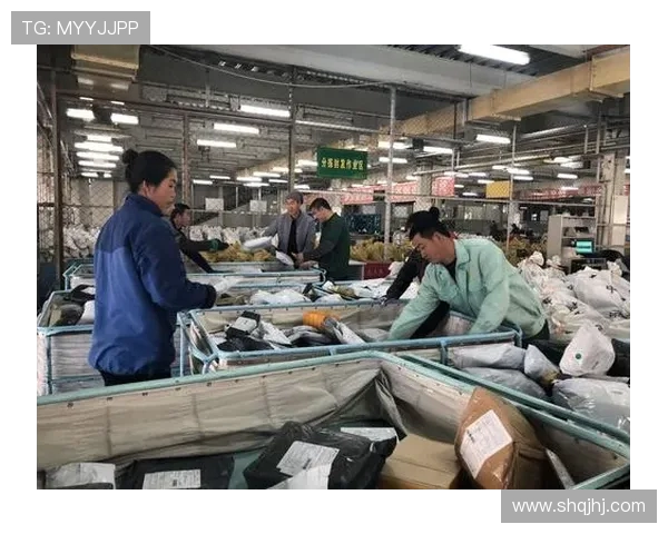 对话赵伟：回顾排球生涯中的挑战与成就分享