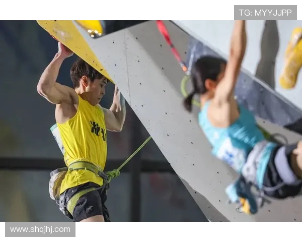 杭州攀岩队在世界攀岩锦标赛中的团队协作表现分析与点评