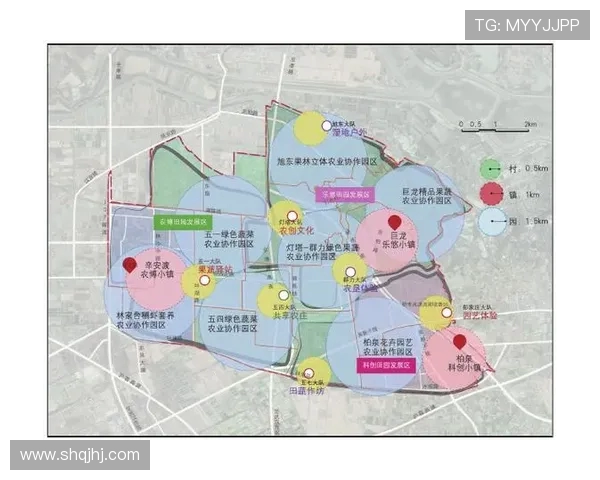 武汉飞盘队配合策略深度剖析与其他队伍的对比研究